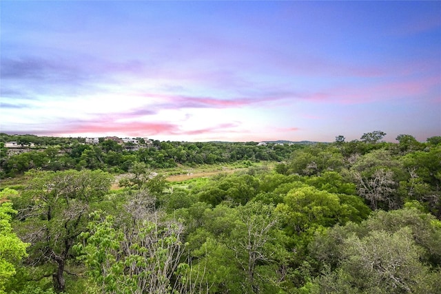 24205 State Highway 71 W, Spicewood, TX 78669 - nature at dusk featuring a forest view