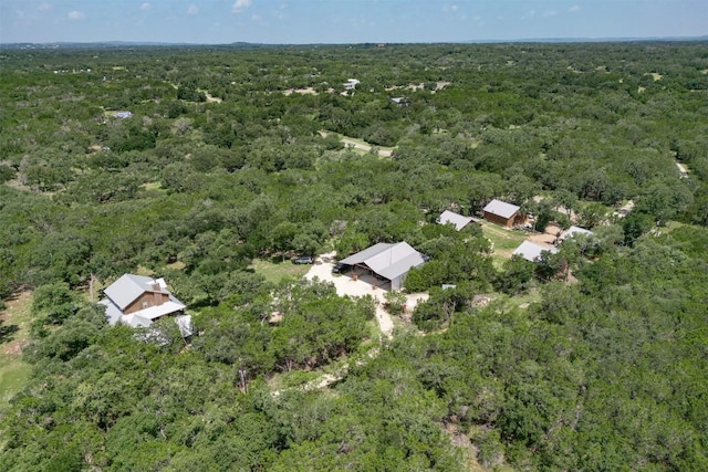 1374 Forest View Dr, Blanco, TX 78606 - photo 1