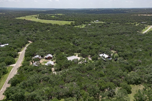 1374 Forest View Dr, Blanco, TX 78606 - photo 4