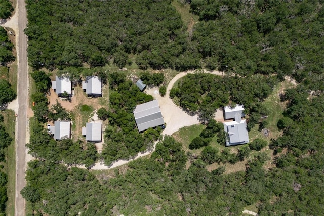 1374 Forest View Dr, Blanco, TX 78606 - photo 5