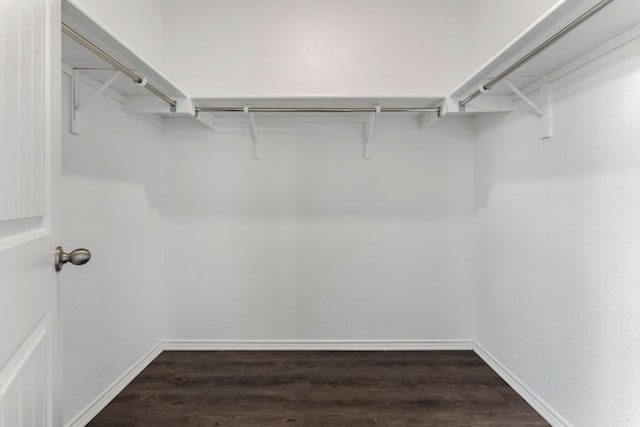 633 Weizenbock Ln, Austin, TX 78728 - walk in closet with wood finished floors