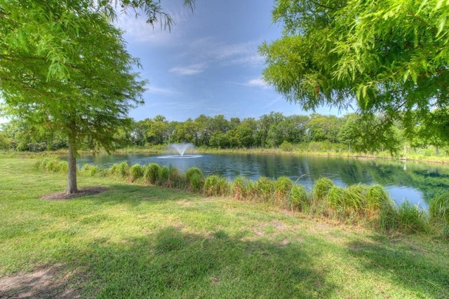 18515 Bandelier Dr, Pflugerville, TX 78660 - photo 29