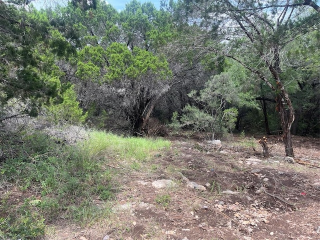 7413 Spanish Oak Dr, Lago Vista, TX 78645 - photo 2