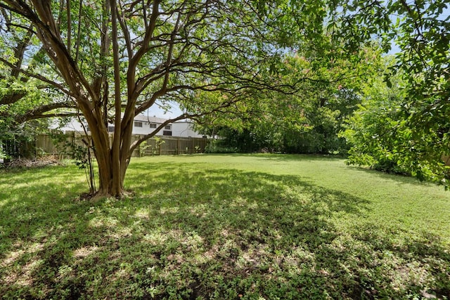1719 E 32nd St, Austin, TX 78722 - photo 8