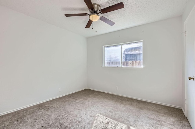 12804 Blaine Rd, Austin, TX 78753 - photo 21
