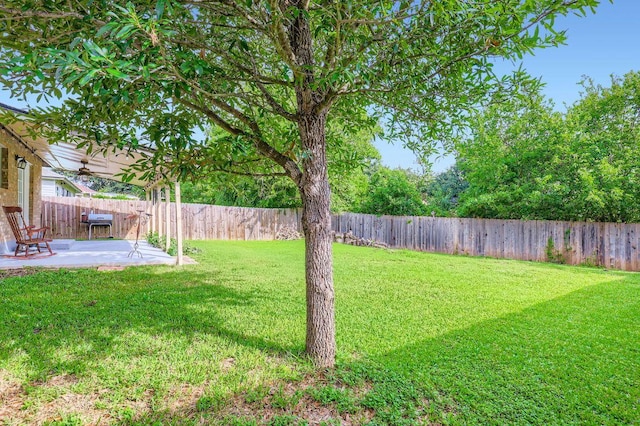 12804 Blaine Rd, Austin, TX 78753 - photo 25