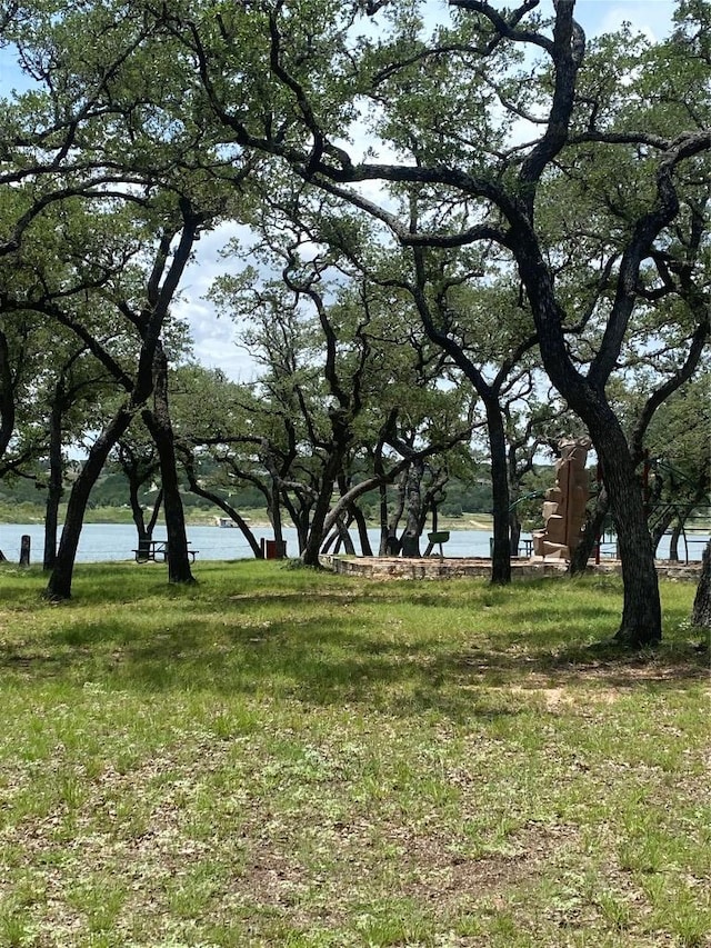 3201 Hancock Ave, Leander, TX 78645