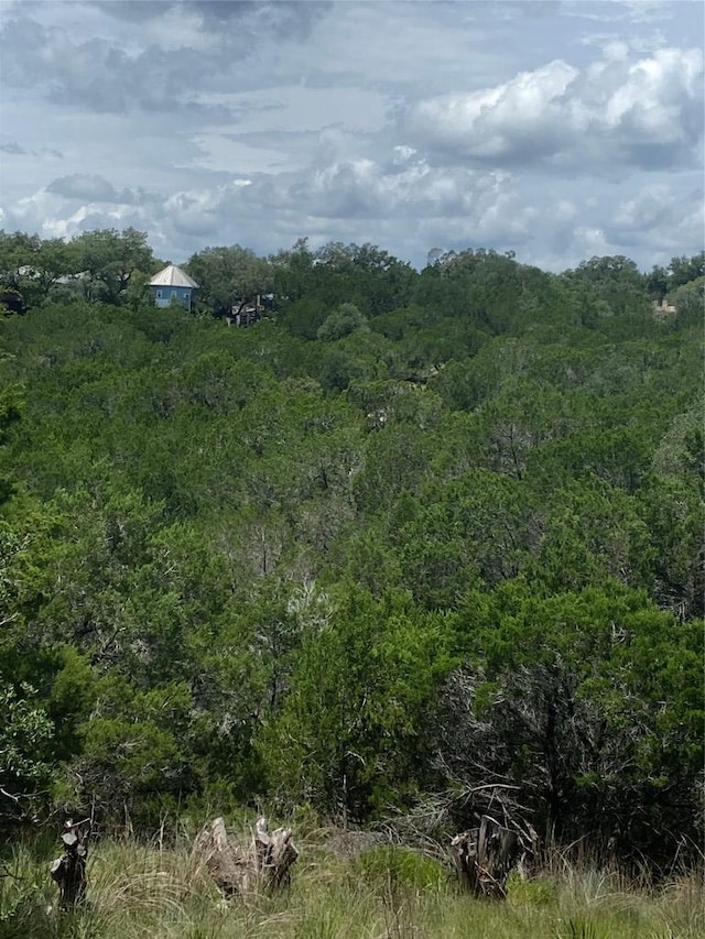 3201 Hancock Ave, Leander, TX 78645