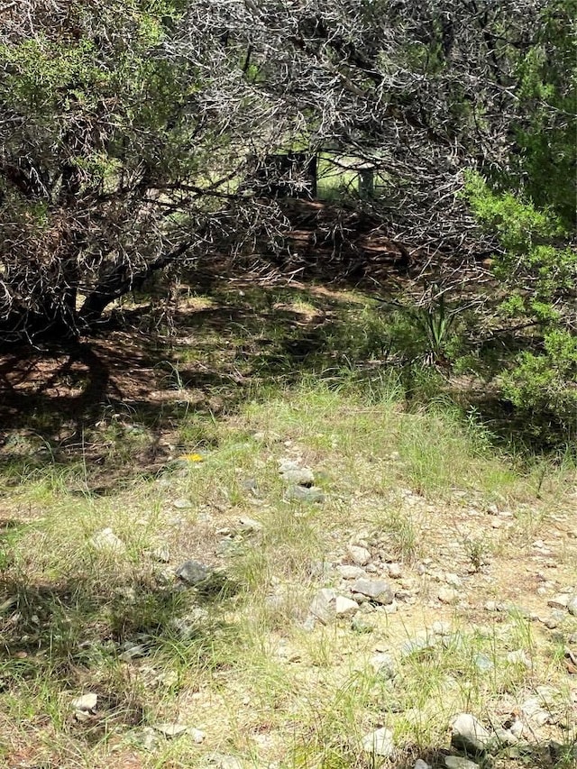 3201 Hancock Ave, Leander, TX 78645