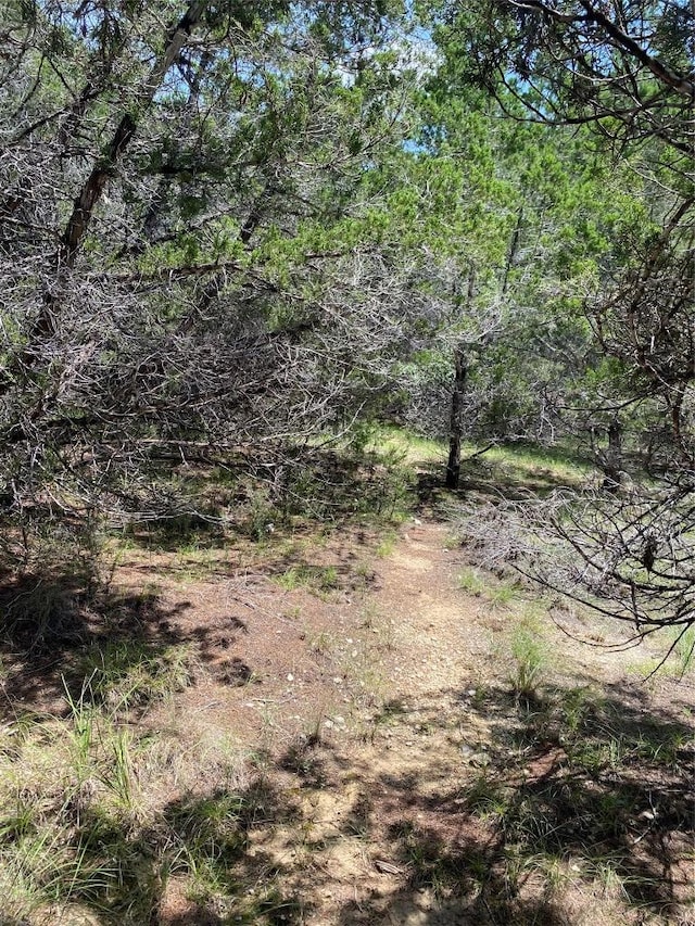 3201 Hancock Ave, Leander, TX 78645