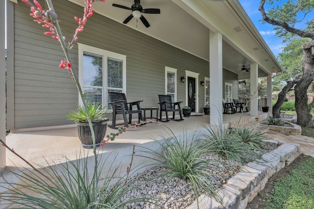 201 W View Dr, Wimberley, TX 78676 - photo 2