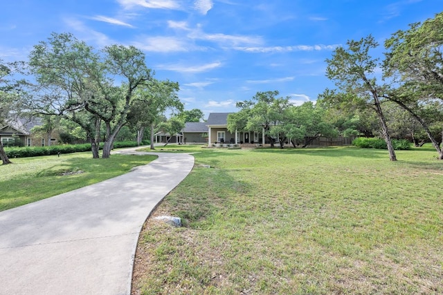201 W View Dr, Wimberley, TX 78676 - photo 29