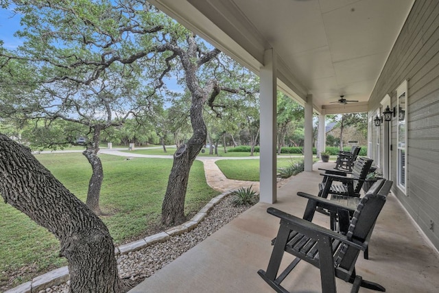 201 W View Dr, Wimberley, TX 78676 - photo 30