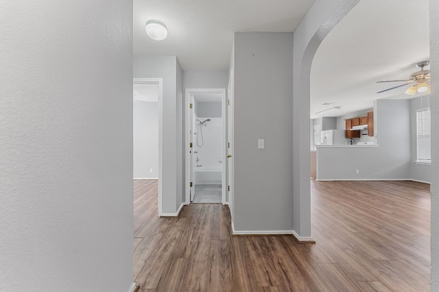 184 Atlantis, Kyle, TX 78640 - hallway featuring wood finished floors and arched walkways