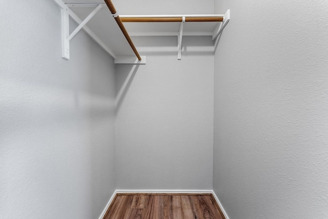 184 Atlantis, Kyle, TX 78640 - walk in closet with wood finished floors