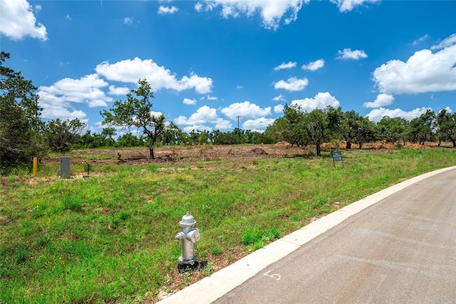 6413 Madrone Tree Ln, Austin, TX 78738 - photo 3