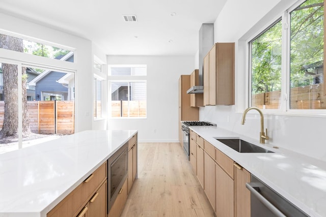 2917 Lyons Rd Unit 1, Austin, TX 78702 - kitchen featuring light wood-style floors, light countertops, appliances with stainless steel finishes, modern cabinets, and wall chimney range hood