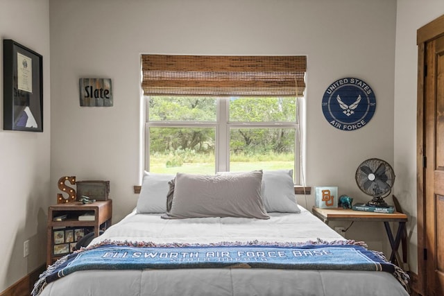 201 N Oak Vista Dr, Burnet, TX 78611 - bedroom with multiple windows