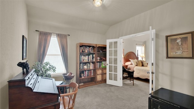 11017 Casitas Dr, Austin, TX 78717 - office space with french doors, carpet, plenty of natural light, and vaulted ceiling
