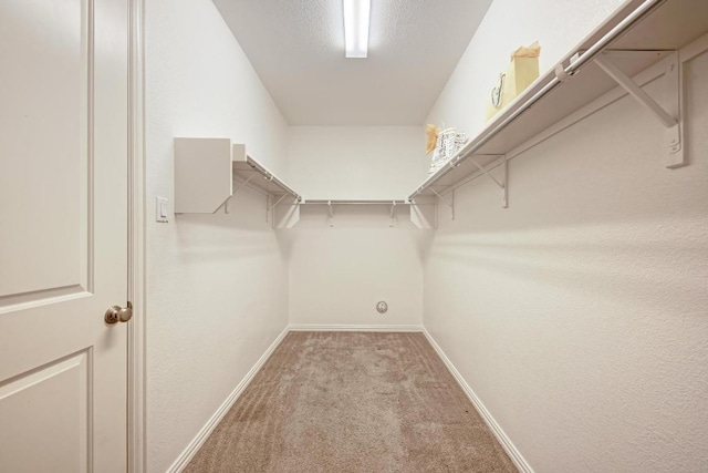 2953 Diego Dr, Round Rock, TX 78665 - spacious closet featuring carpet floors