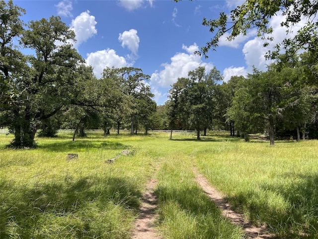 2.938AC County Road 342, Milano, TX 76556 - photo 4