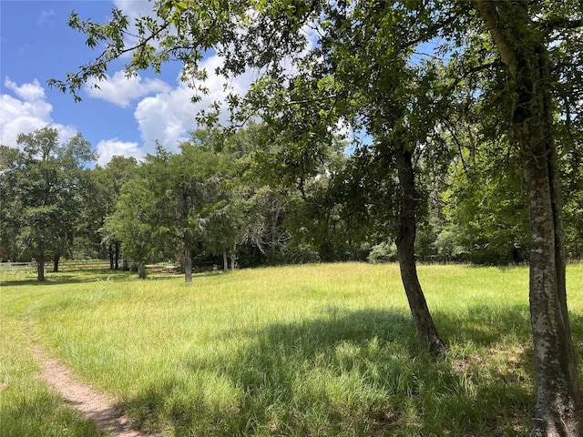 2.938AC County Road 342, Milano, TX 76556 - photo 5