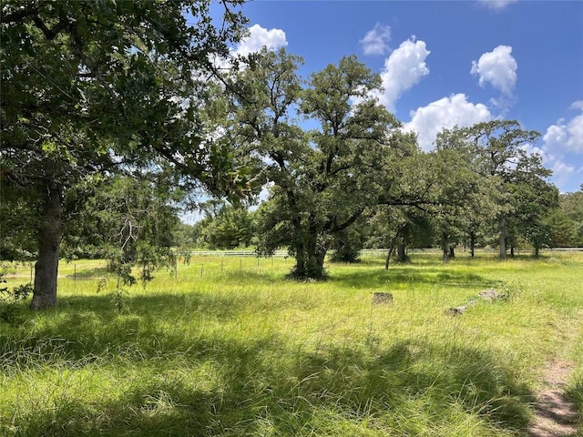 2.938AC County Road 342, Milano, TX 76556 - photo 6