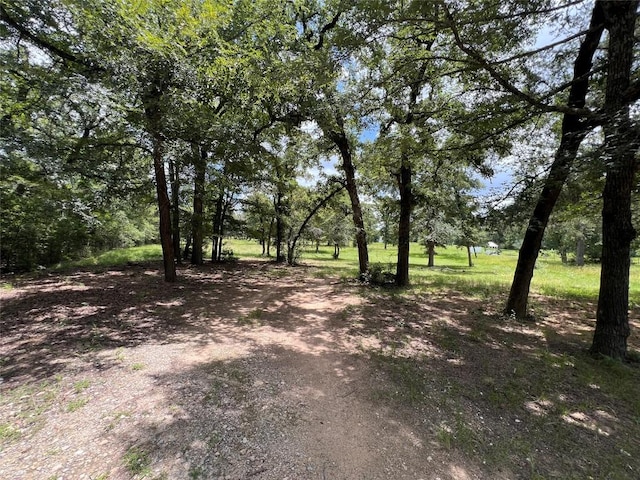 2.938AC County Road 342, Milano, TX 76556 - photo 7