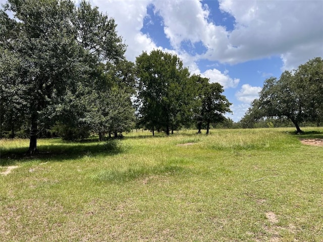 2.938AC County Road 342, Milano, TX 76556 - photo 9