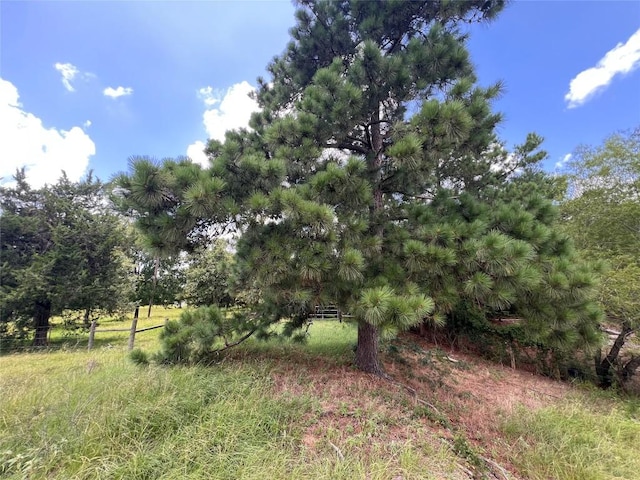 2.938AC County Road 342, Milano, TX 76556 - photo 12