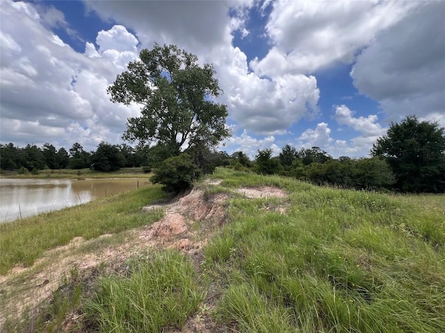 2.938AC County Road 342, Milano, TX 76556 - photo 13