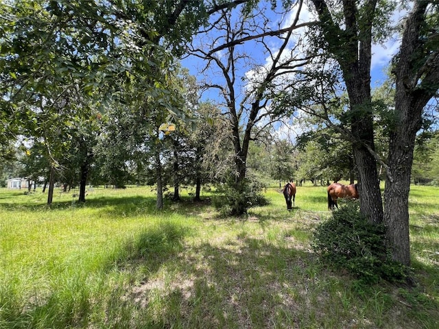 2.938AC County Road 342, Milano, TX 76556 - photo 15