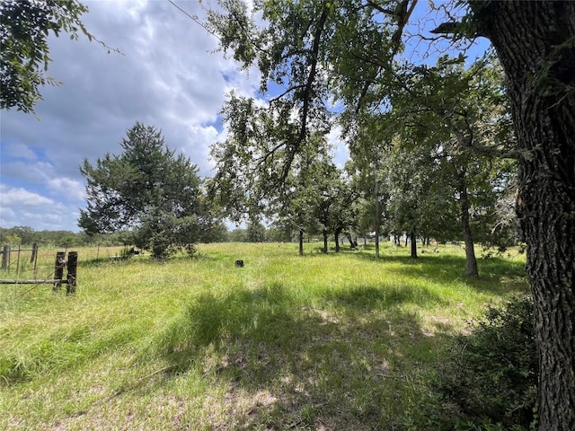 2.938AC County Road 342, Milano, TX 76556 - photo 17