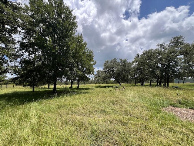 2.938AC County Road 342, Milano, TX 76556 - photo 19