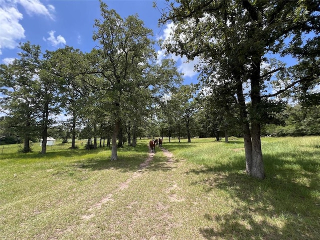 2.938AC County Road 342, Milano, TX 76556 - photo 20