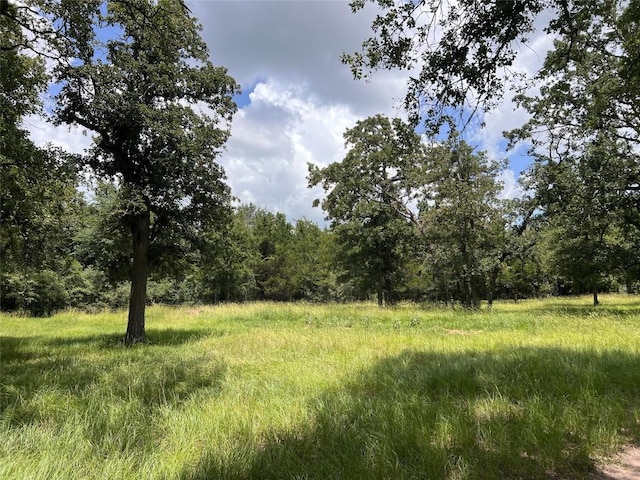 2.938AC County Road 342, Milano, TX 76556 - photo 3