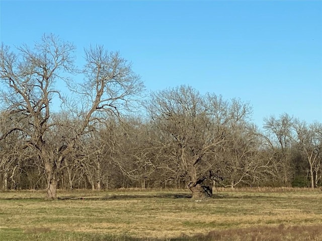 465 Oak Grove Rd, Luling, TX 78648 - photo 3