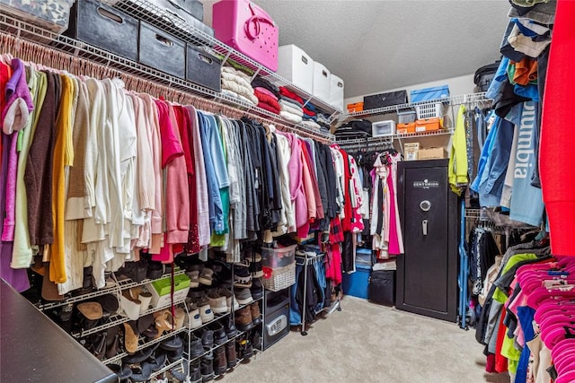 700 Stokesay Castle Path, Pflugerville, TX 78660 - spacious closet with carpet