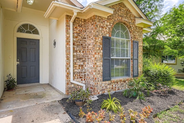 204 Mallard Cv, Hutto, TX 78634 - photo 7