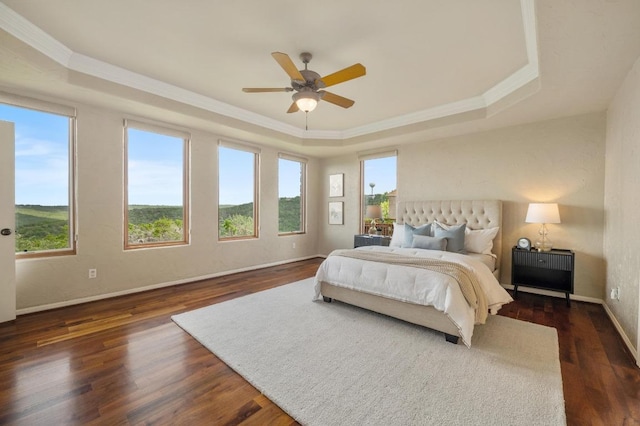 4700 River Place Blvd Unit 3, Austin, TX 78730 - bedroom with a raised ceiling, multiple windows, crown molding, dark wood-style flooring, and a ceiling fan