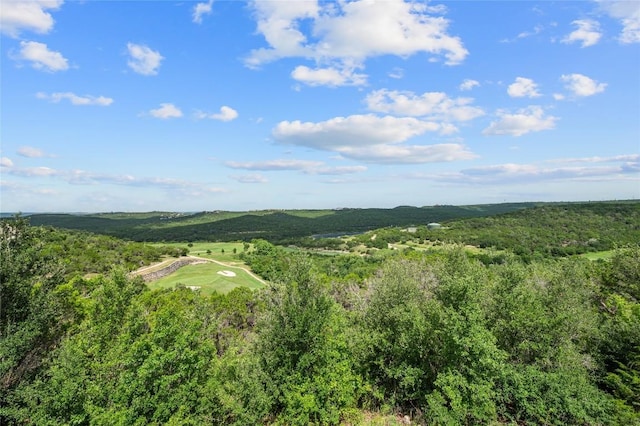 4700 River Place Blvd Unit 3, Austin, TX 78730 - drone / aerial view of a forest