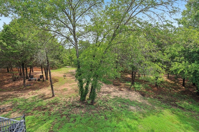 430 Green Valley Dr, Bastrop, TX 78602 - photo 16