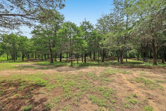 430 Green Valley Dr, Bastrop, TX 78602 - photo 21