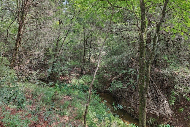 430 Green Valley Dr, Bastrop, TX 78602 - photo 24
