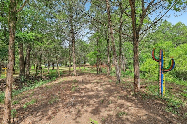 430 Green Valley Dr, Bastrop, TX 78602 - photo 25