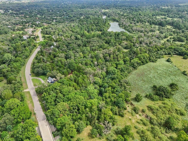 430 Green Valley Dr, Bastrop, TX 78602 - photo 28