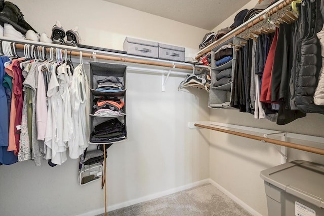 12600 Grimes Ranch Ct, Austin, TX 78732 - walk in closet with carpet floors