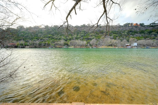 12600 Grimes Ranch Ct, Austin, TX 78732 - water view with a heavily wooded area