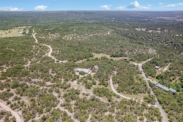 1000 Mount Olive School Rd, Wimberley, TX 78676 - photo 23