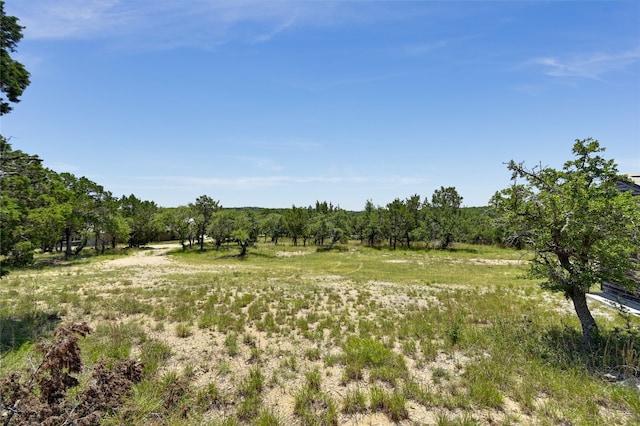 1000 Mount Olive School Rd, Wimberley, TX 78676 - photo 13